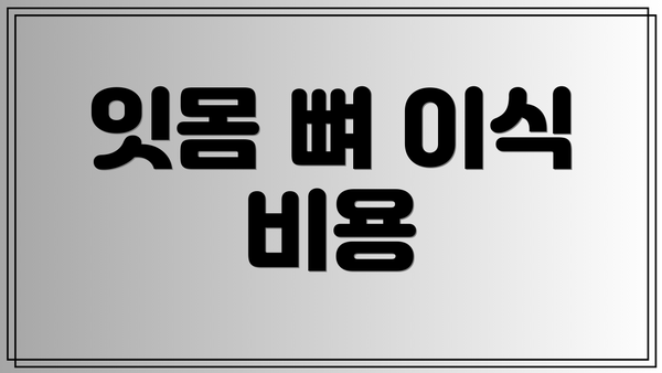 잇몸 뼈 이식 비용