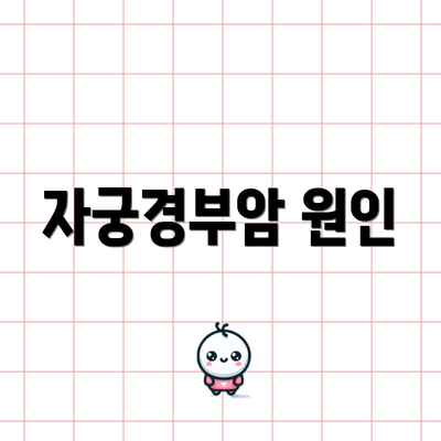 자궁경부암 원인
