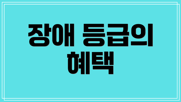 장애 등급의 혜택