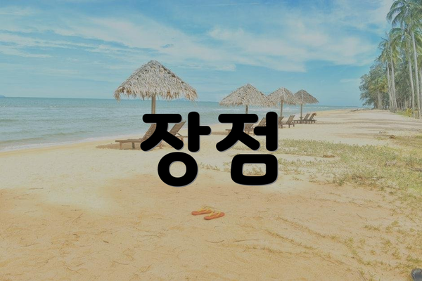 장점