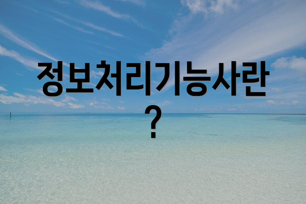 정보처리기능사란?