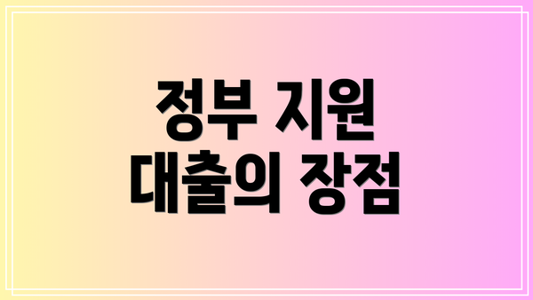 정부 지원 대출의 장점