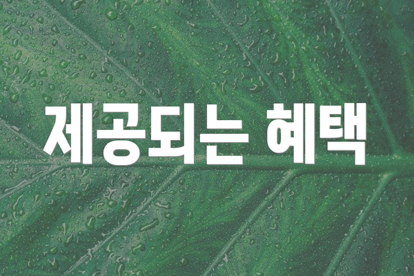 제공되는 혜택