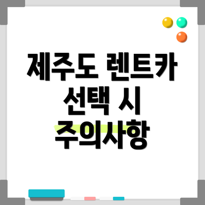 제주도 렌트카 선택 시 주의사항