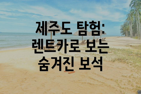 제주도 탐험: 렌트카로 보는 숨겨진 보석