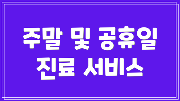 주말 및 공휴일 진료 서비스