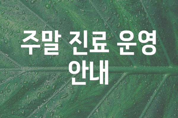 주말 진료 운영 안내