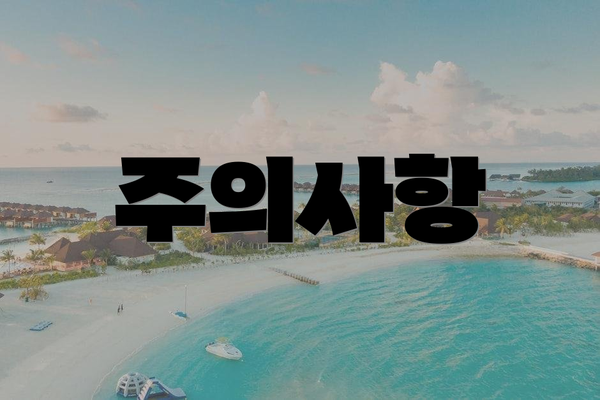 주의사항