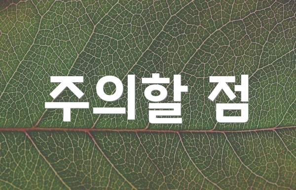주의할 점