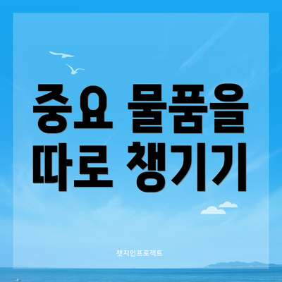 중요 물품을 따로 챙기기