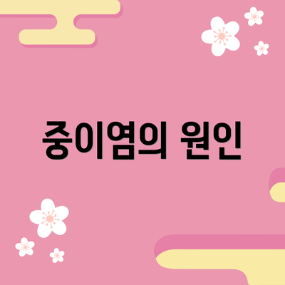 중이염의 원인