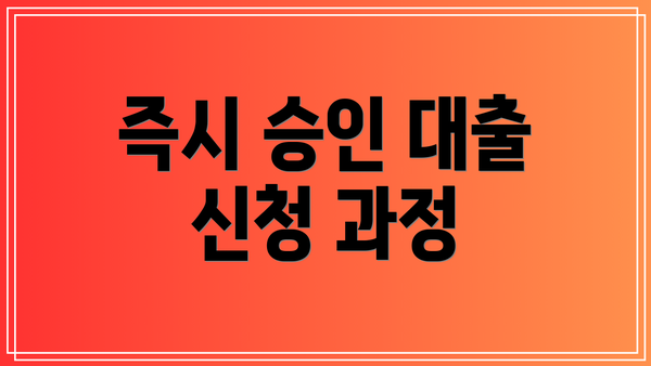 즉시 승인 대출 신청 과정