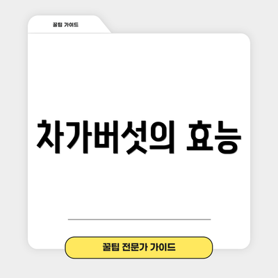 차가버섯의 효능