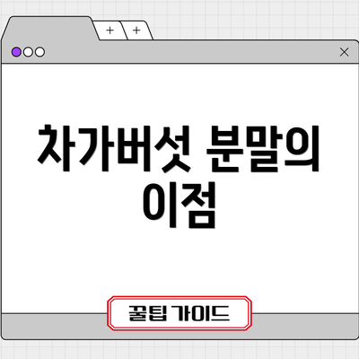 차가버섯 분말의 이점