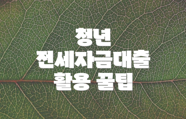 청년 전세자금대출 활용 꿀팁