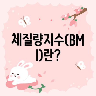 체질량지수(BMI)란?