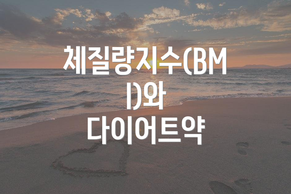 체질량지수(BMI)와 다이어트약