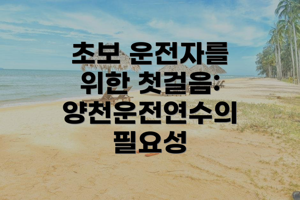 초보 운전자를 위한 첫걸음: 양천운전연수의 필요성