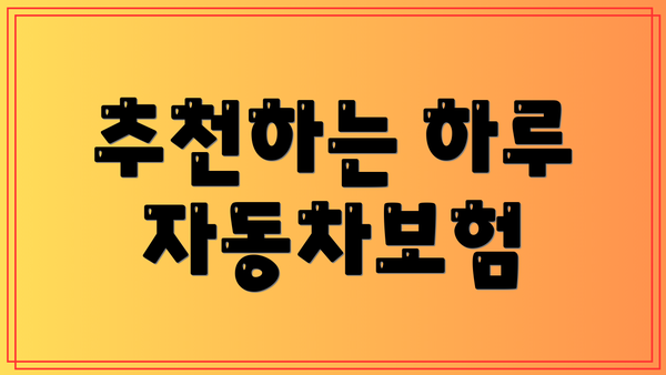 추천하는 하루 자동차보험