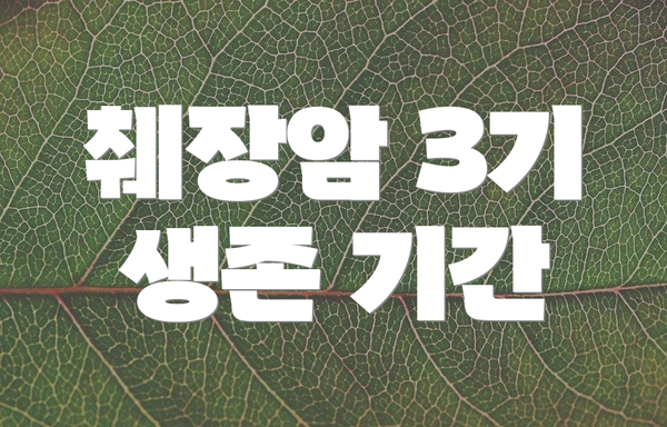 췌장암 3기 생존 기간