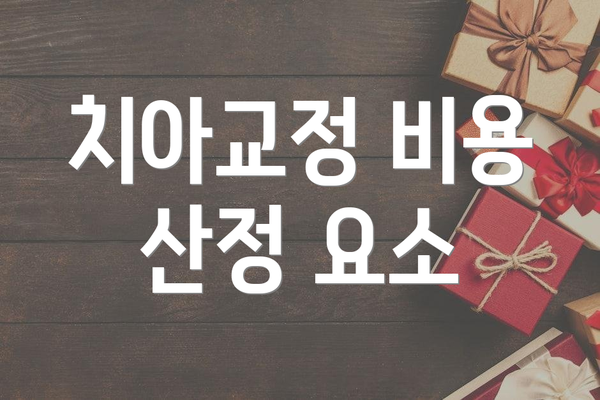 치아교정 비용 산정 요소