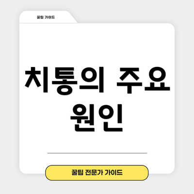 치통의 주요 원인