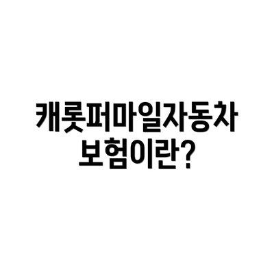 캐롯퍼마일자동차보험이란?