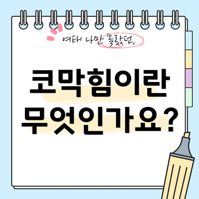 코막힘이란 무엇인가요?