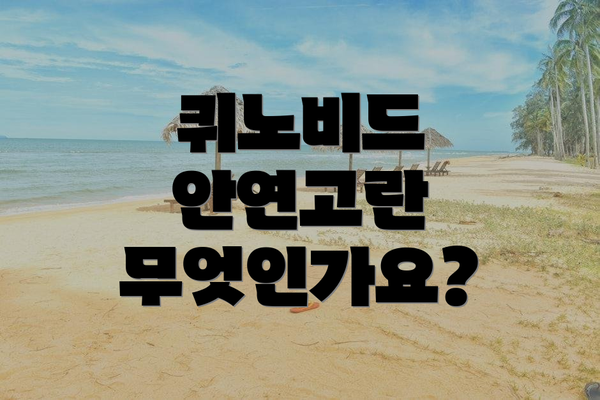 퀴노비드 안연고란 무엇인가요?