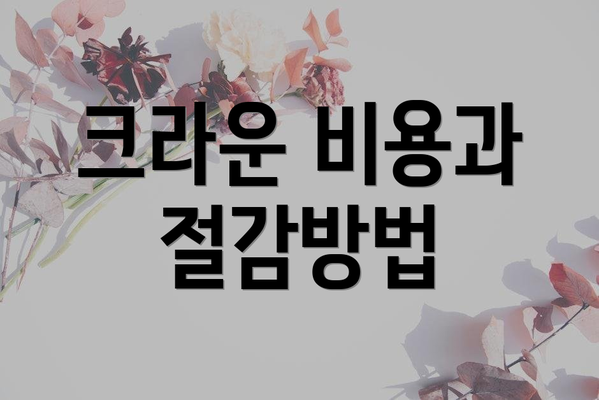 크라운 비용과 절감방법