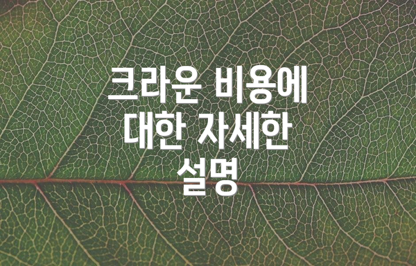 크라운 비용에 대한 자세한 설명
