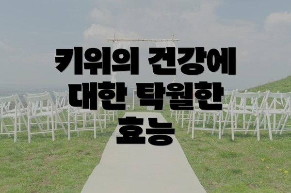 키위의 건강에 대한 탁월한 효능