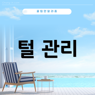털 관리