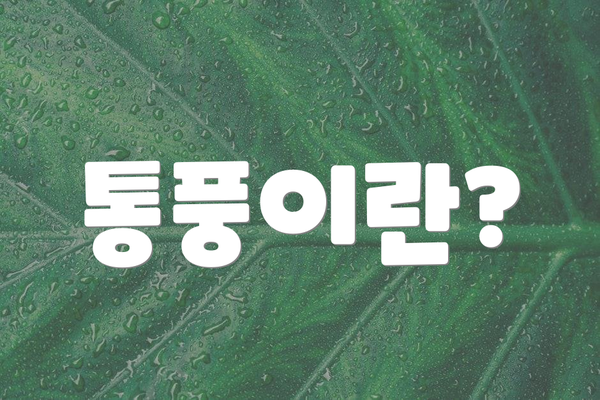 통풍이란?
