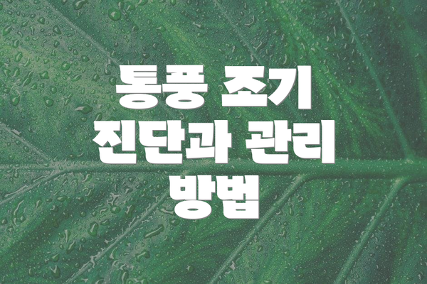 통풍 조기 진단과 관리 방법