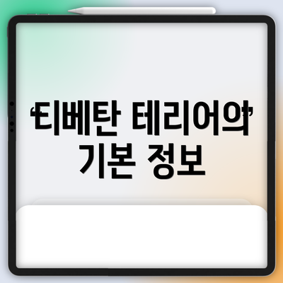 티베탄 테리어의 기본 정보