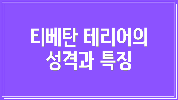 티베탄 테리어의 성격과 특징