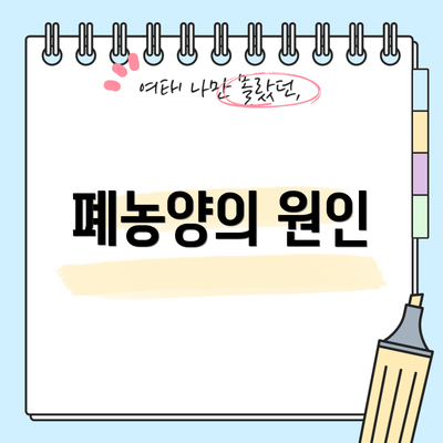 폐농양의 원인