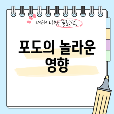 포도의 놀라운 영향