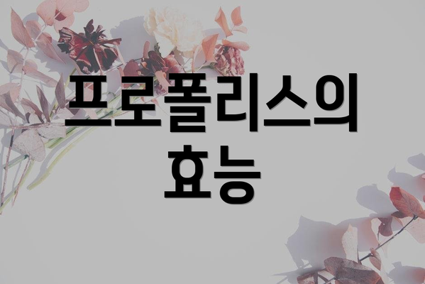 프로폴리스의 효능