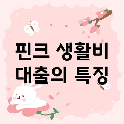 핀크 생활비 대출의 특징