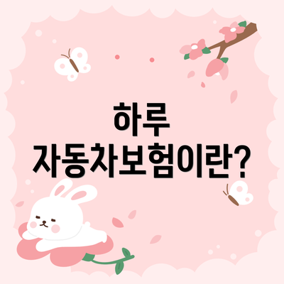 하루 자동차보험이란?