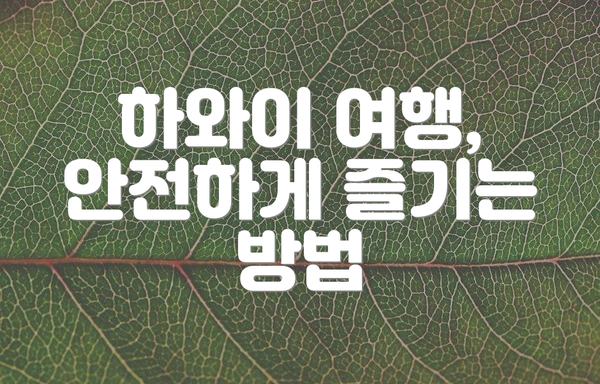 하와이 여행, 안전하게 즐기는 방법