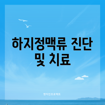 하지정맥류 진단 및 치료