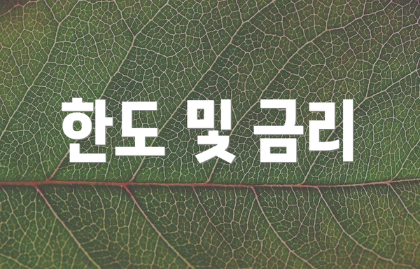 한도 및 금리