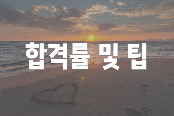 합격률 및 팁