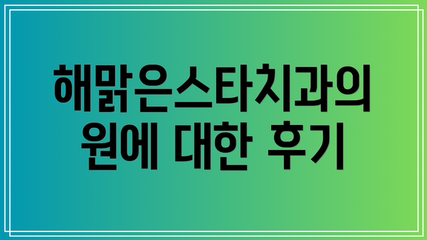 해맑은스타치과의원에 대한 후기