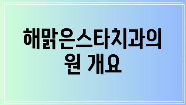 해맑은스타치과의원 개요