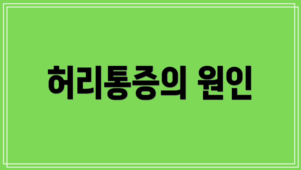 허리통증의 원인
