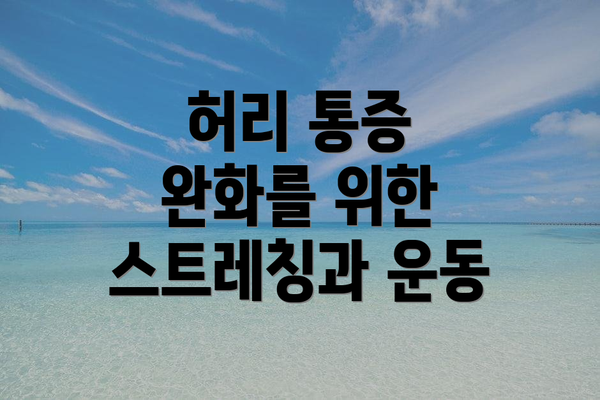 허리 통증 완화를 위한 스트레칭과 운동